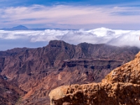 Mirador Roque Nublo